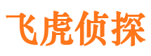 田林侦探